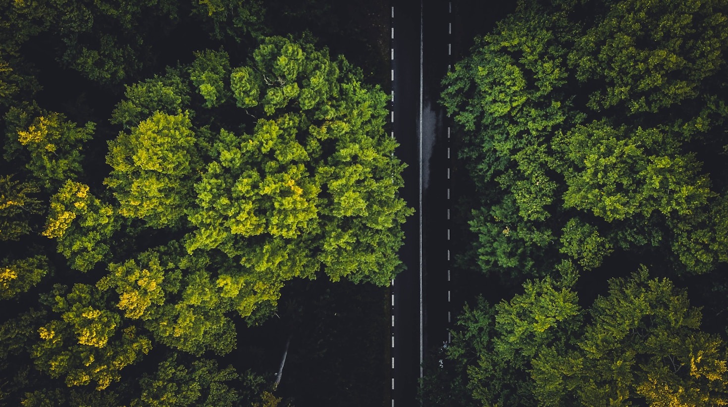 La importancia del manejo ambiental responsable en el siglo XXI
